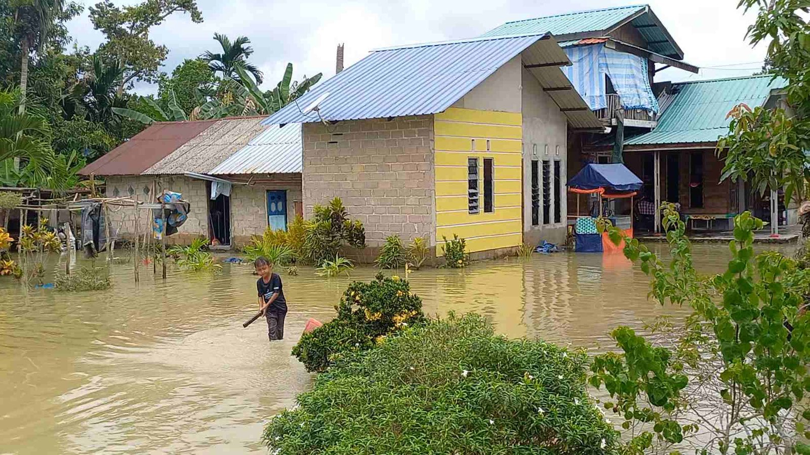 Banjir Melanda Guntung Punak, Puluhan Rumah Terdampak