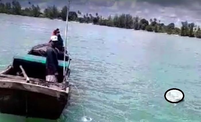 Pemancing Udang yang Tenggelam Ditemukan Terapung di Pulau Pucung, Bintan